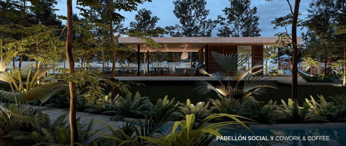 Foto de terreno habitacional en venta en  , cholul, mérida, yucatán, 30211766 No. 03
