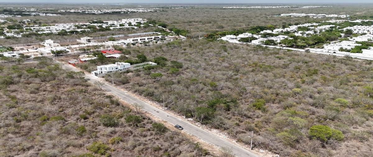 Foto de terreno habitacional en venta en  , cholul, mérida, yucatán, 0 No. 03