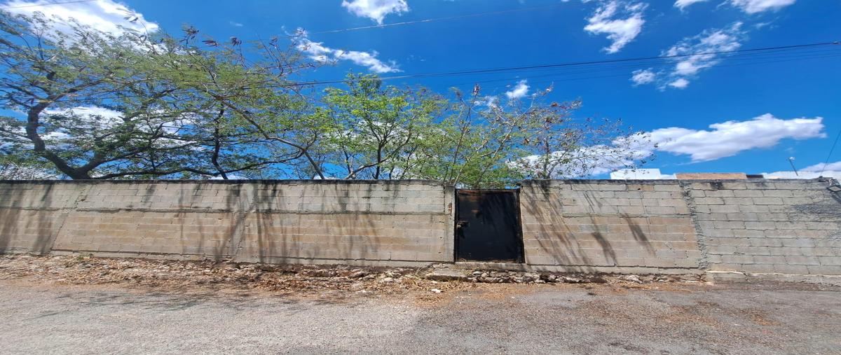 Foto de terreno habitacional en , cholul, mérida, yucatán, 30367900 foto 05 Foto de terreno habitacional en venta en , cholul, mérida, yucatán, 30367900 No. 05