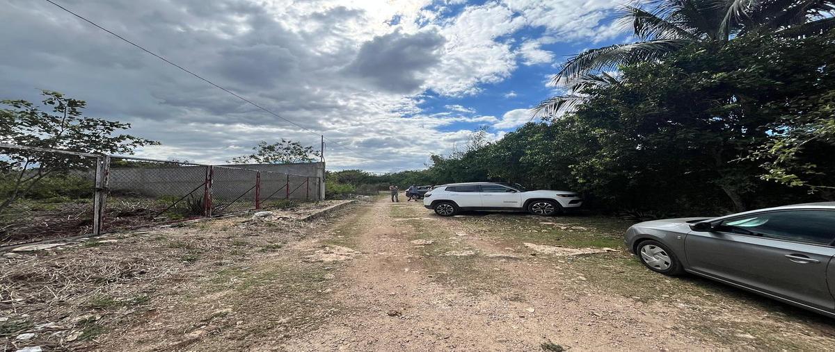 Foto de terreno habitacional en venta en  , cholul, mérida, yucatán, 30450593 No. 03
