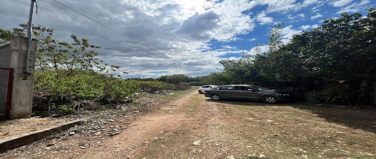 Foto de terreno habitacional en venta en  , cholul, mérida, yucatán, 30450593 No. 05