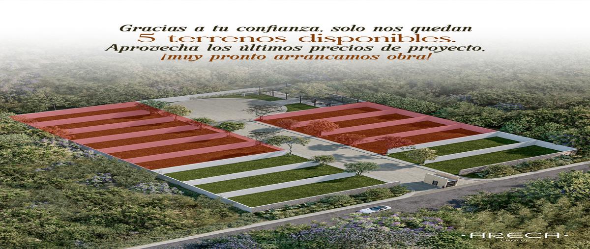 Foto de terreno habitacional en , cholul, mérida, yucatán, 0 foto 01 Foto de terreno habitacional en venta en , cholul, mérida, yucatán, 0 No. 01