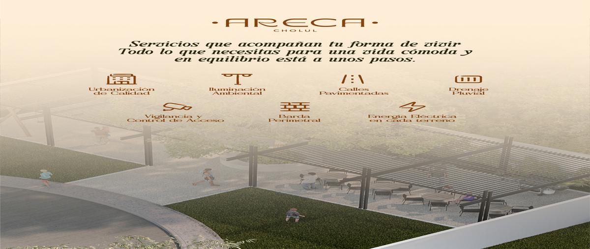 Foto de terreno habitacional en , cholul, mérida, yucatán, 0 foto 02 Foto de terreno habitacional en venta en , cholul, mérida, yucatán, 0 No. 02