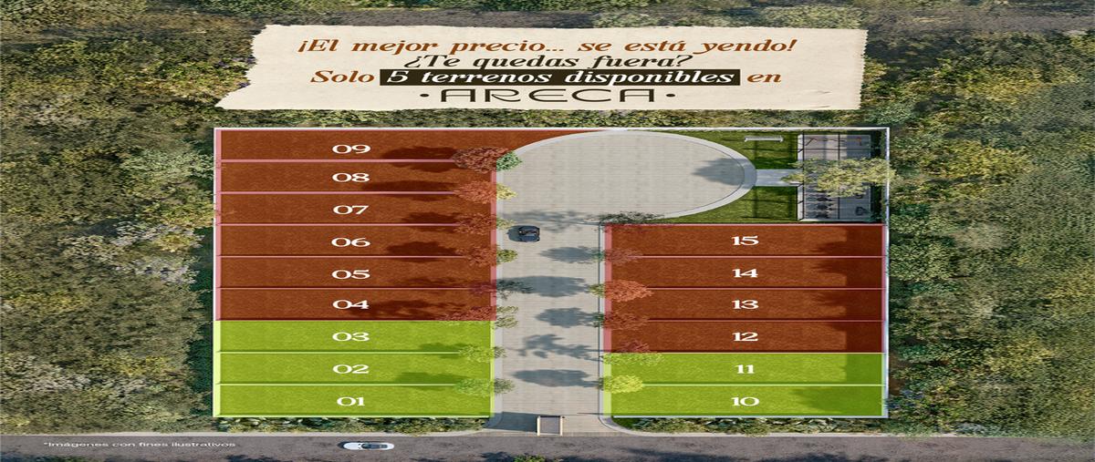 Foto de terreno habitacional en , cholul, mérida, yucatán, 0 foto 03 Foto de terreno habitacional en venta en , cholul, mérida, yucatán, 0 No. 03