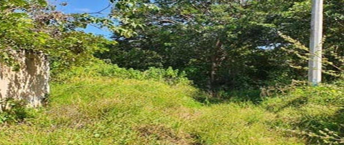 Foto de terreno habitacional en venta en  , cholul, mérida, yucatán, 30548052 No. 03