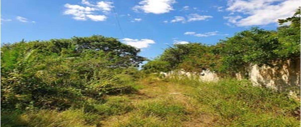 Foto de terreno habitacional en venta en  , cholul, mérida, yucatán, 30548052 No. 04