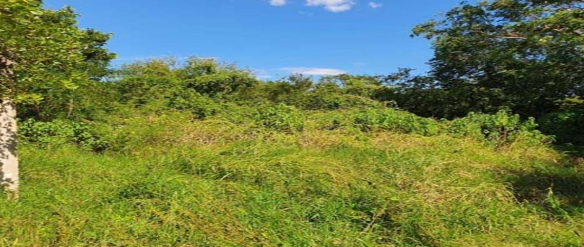 Foto de terreno habitacional en venta en  , cholul, mérida, yucatán, 30548052 No. 05