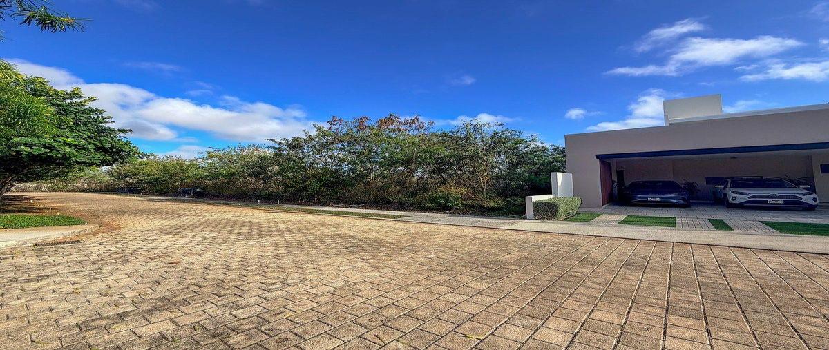 Foto de terreno habitacional en venta en  , cholul, mérida, yucatán, 30628077 No. 04