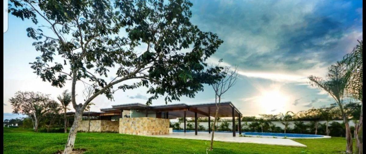 Foto de terreno habitacional en venta en  , cholul, mérida, yucatán, 30628086 No. 05