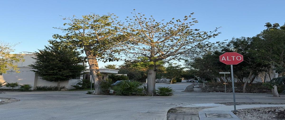 Foto de terreno habitacional en venta en  , cholul, mérida, yucatán, 30698773 No. 03