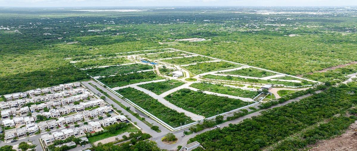 Foto de terreno habitacional en venta en  , cholul, mérida, yucatán, 0 No. 08