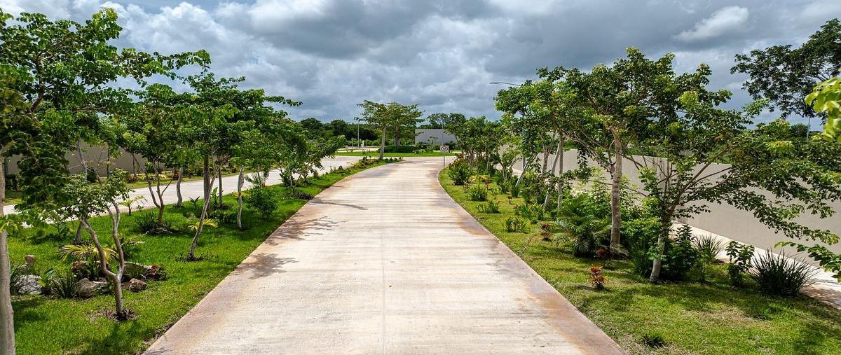 Foto de terreno habitacional en venta en  , cholul, mérida, yucatán, 0 No. 10