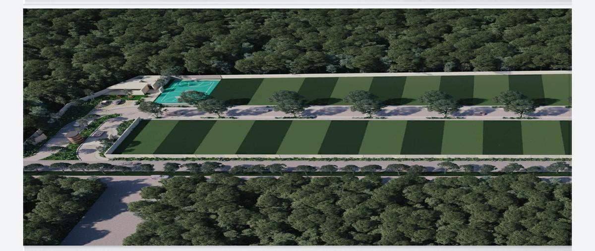 Foto de terreno habitacional en , cholul, mérida, yucatán, 30711096 foto 01 Foto de terreno habitacional en venta en , cholul, mérida, yucatán, 30711096 No. 01