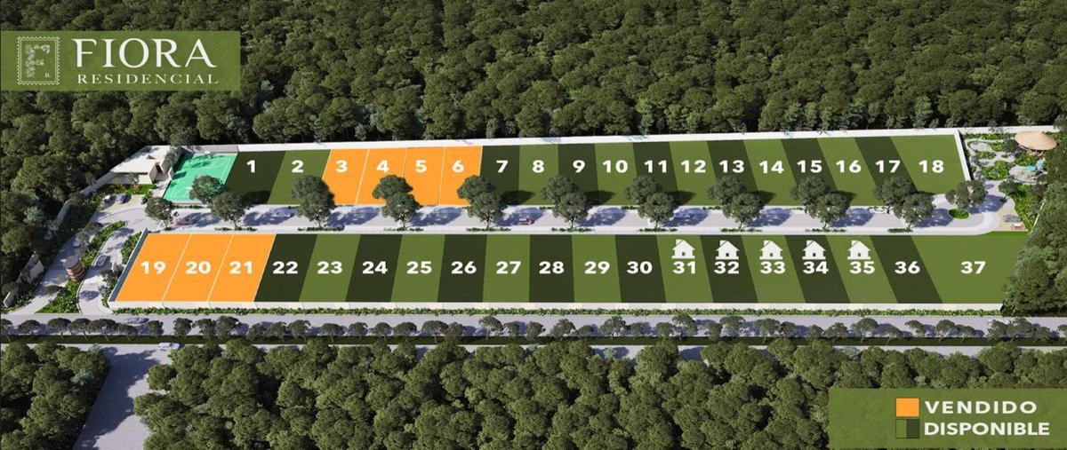 Foto de terreno habitacional en , cholul, mérida, yucatán, 30711096 foto 02 Foto de terreno habitacional en venta en , cholul, mérida, yucatán, 30711096 No. 02