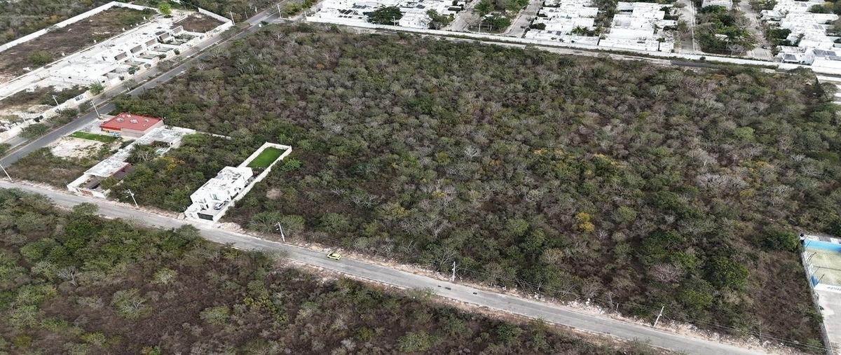 Foto de terreno habitacional en venta en  , cholul, mérida, yucatán, 30711129 No. 04