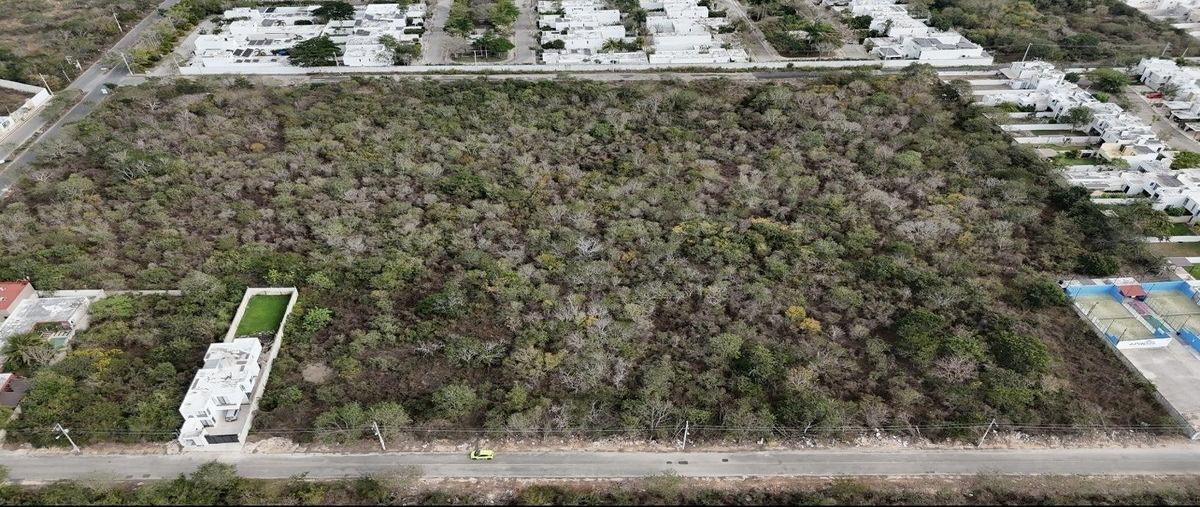 Foto de terreno habitacional en venta en  , cholul, mérida, yucatán, 30711129 No. 05