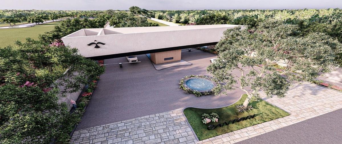 Foto de terreno habitacional en venta en  , cholul, mérida, yucatán, 0 No. 03