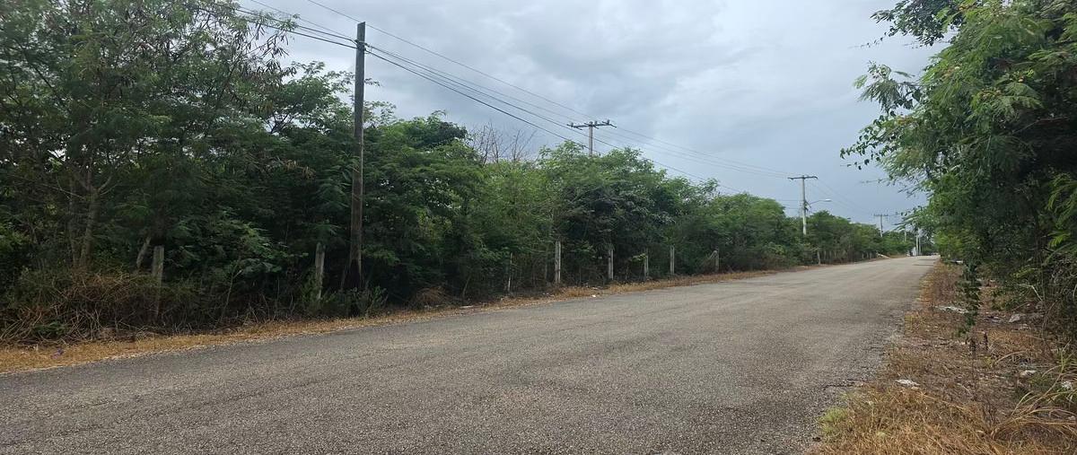 Foto de terreno habitacional en venta en  , cholul, mérida, yucatán, 0 No. 03