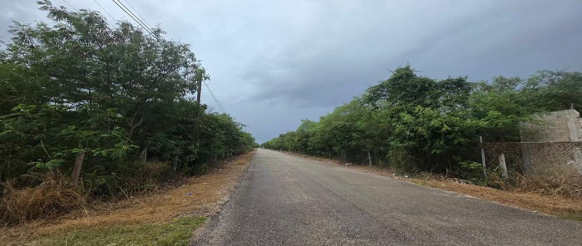 Foto de terreno habitacional en venta en  , cholul, mérida, yucatán, 0 No. 05
