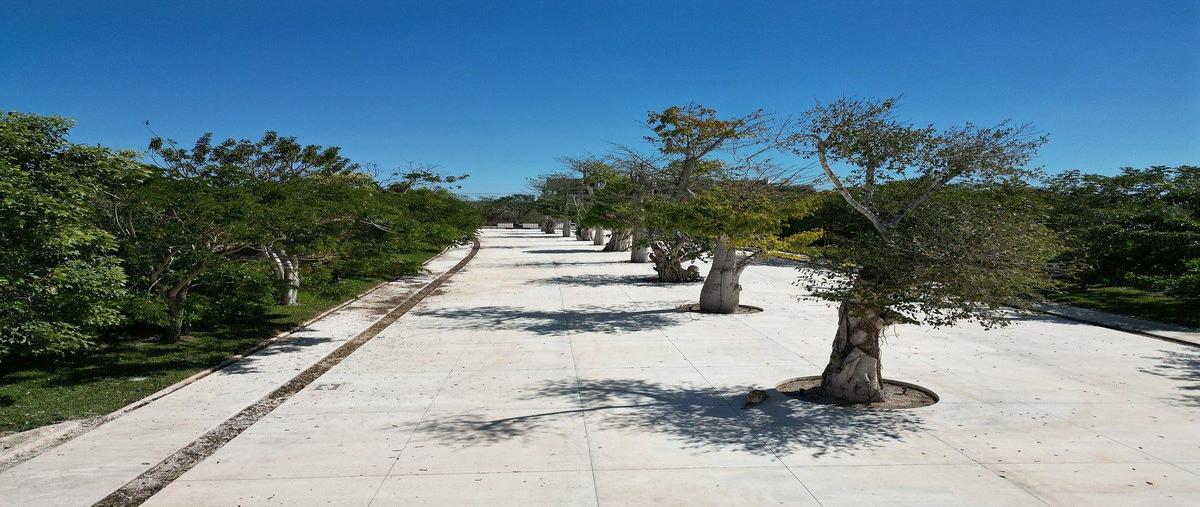 Foto de terreno habitacional en venta en  , cholul, mérida, yucatán, 0 No. 04