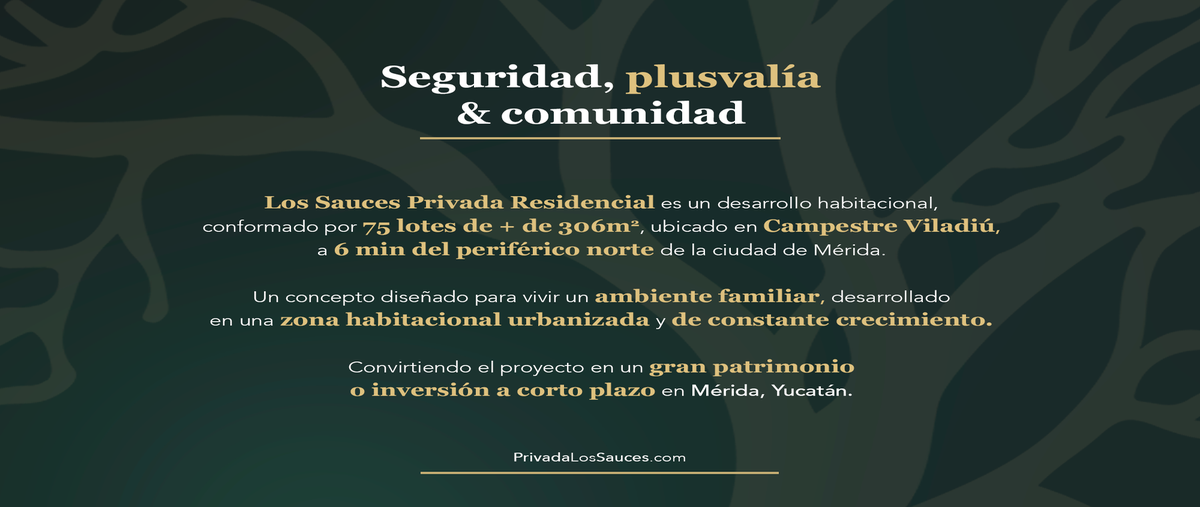 Foto de terreno habitacional en venta en  , cholul, mérida, yucatán, 30898396 No. 03