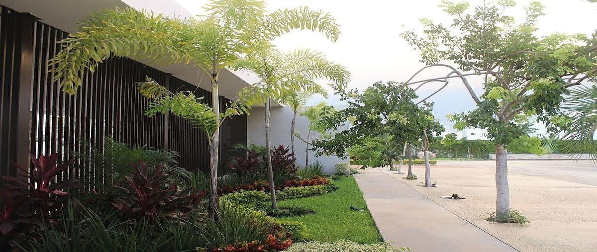 Foto de terreno habitacional en venta en  , cholul, mérida, yucatán, 0 No. 06