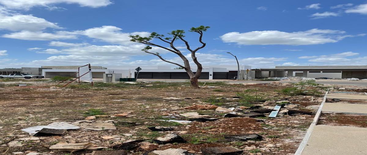 Foto de terreno habitacional en , cholul, mérida, yucatán, 0 foto 03 Foto de terreno habitacional en venta en , cholul, mérida, yucatán, 0 No. 03