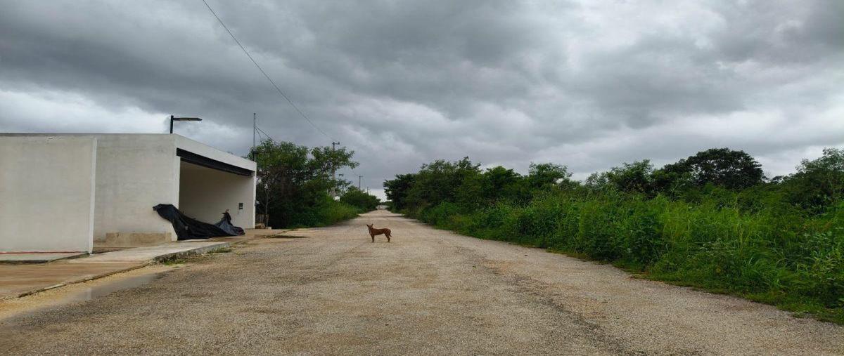 Foto de terreno habitacional en venta en  , cholul, mérida, yucatán, 30963752 No. 05