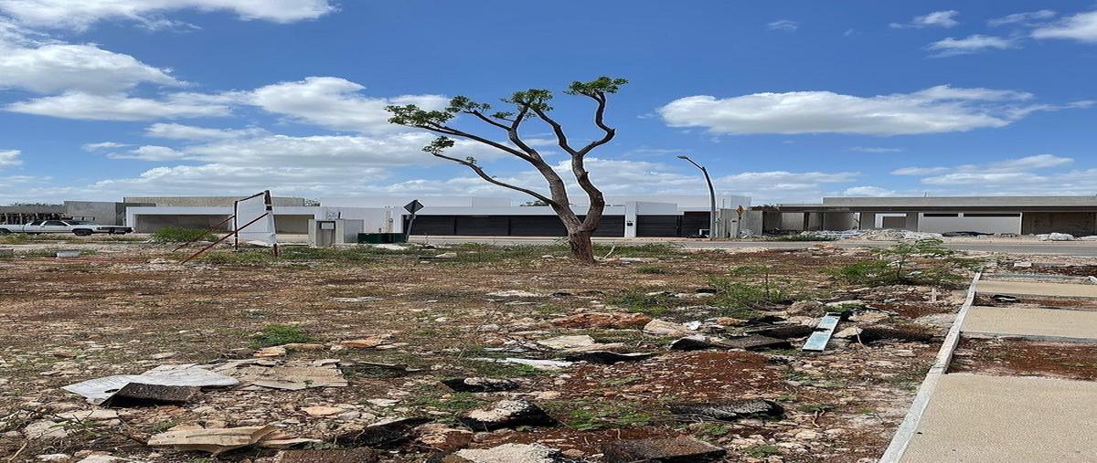 Foto de terreno habitacional en , cholul, mérida, yucatán, 0 foto 01 Foto de terreno habitacional en venta en , cholul, mérida, yucatán, 0 No. 01