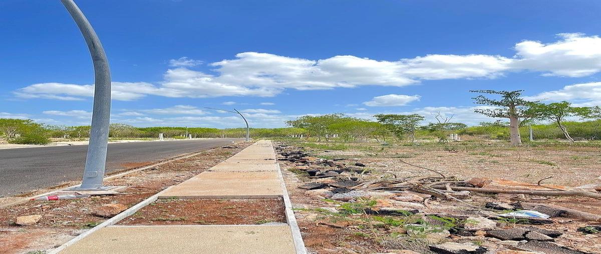 Foto de terreno habitacional en , cholul, mérida, yucatán, 0 foto 03 Foto de terreno habitacional en venta en , cholul, mérida, yucatán, 0 No. 03