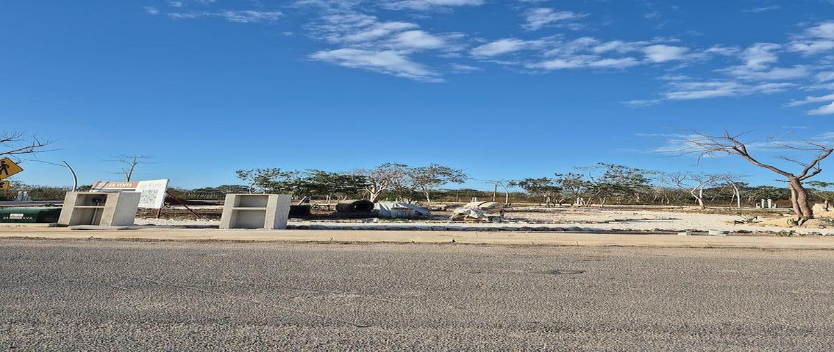 Foto de terreno habitacional en , cholul, mérida, yucatán, 0 foto 04 Foto de terreno habitacional en venta en , cholul, mérida, yucatán, 0 No. 04
