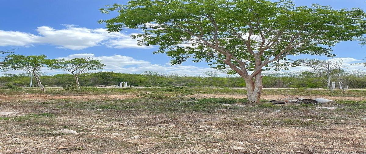 Foto de terreno habitacional en , cholul, mérida, yucatán, 0 foto 05 Foto de terreno habitacional en venta en , cholul, mérida, yucatán, 0 No. 05