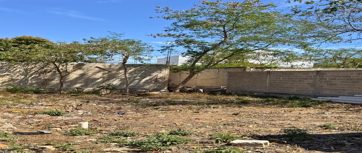 Foto de terreno habitacional en venta en  , cholul, mérida, yucatán, 0 No. 05