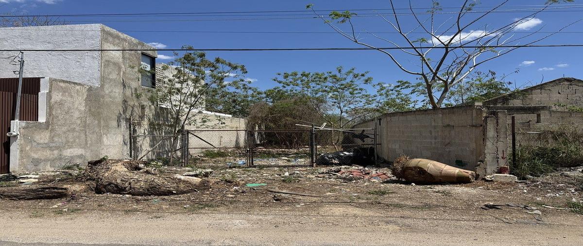 Foto de terreno habitacional en venta en  , cholul, mérida, yucatán, 31006883 No. 03