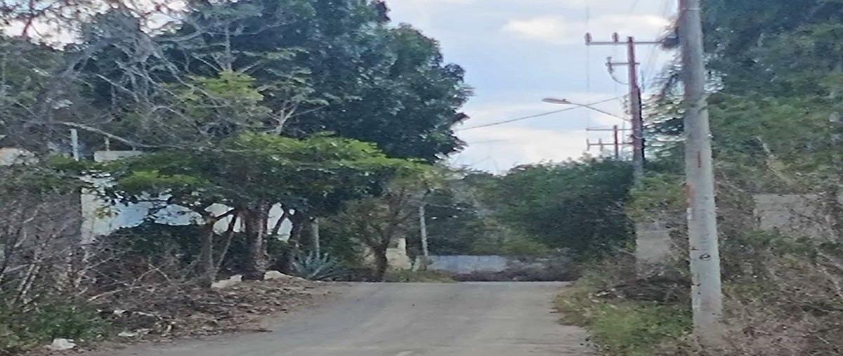 Foto de terreno habitacional en venta en  , cholul, mérida, yucatán, 0 No. 03