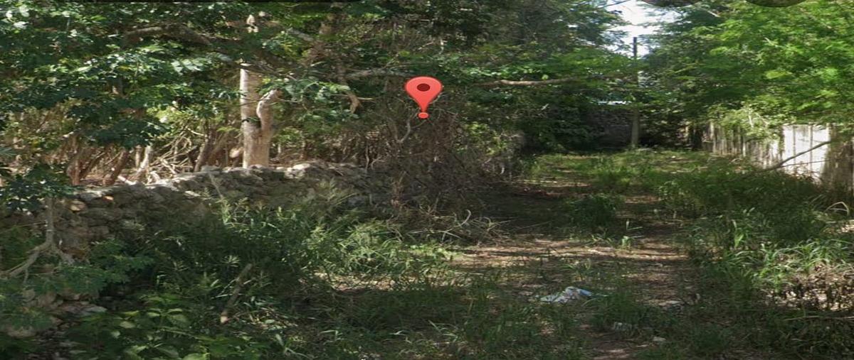 Foto de terreno habitacional en venta en  , cholul, mérida, yucatán, 31041307 No. 03