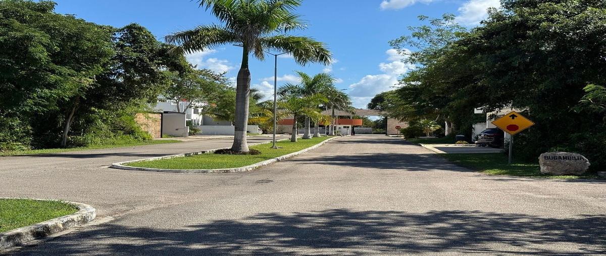 Foto de terreno habitacional en , cholul, mérida, yucatán, 0 foto 05 Foto de terreno habitacional en venta en , cholul, mérida, yucatán, 0 No. 05