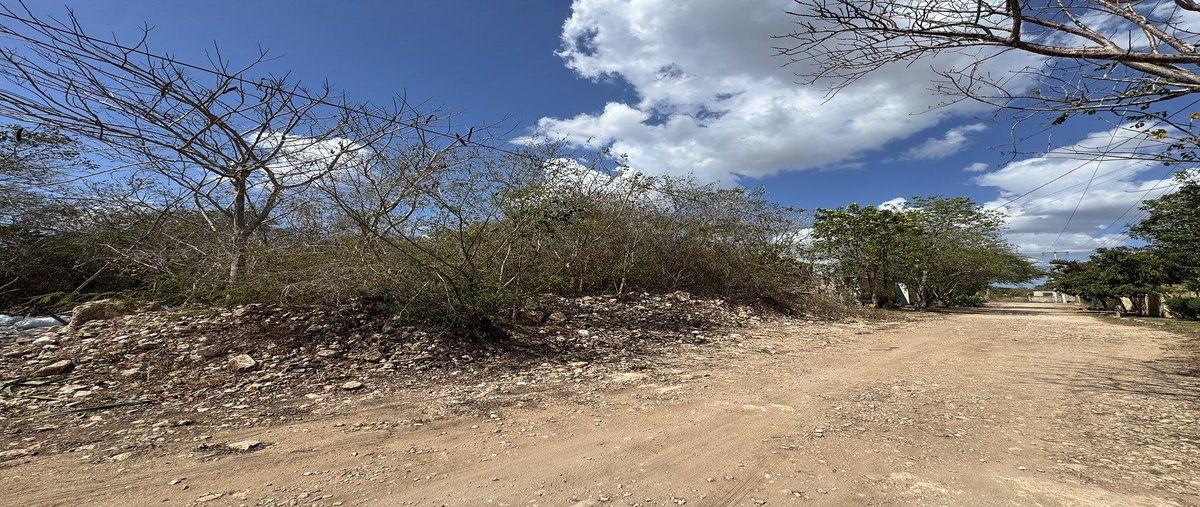 Foto de terreno habitacional en venta en  , cholul, mérida, yucatán, 0 No. 03
