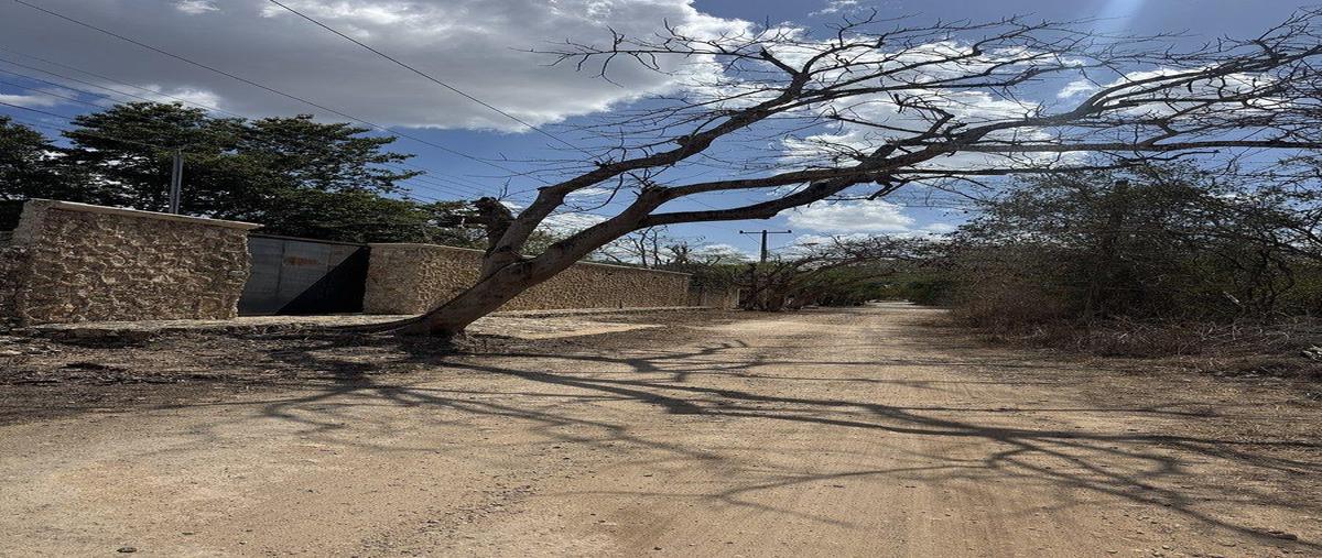 Foto de terreno habitacional en venta en  , cholul, mérida, yucatán, 0 No. 04