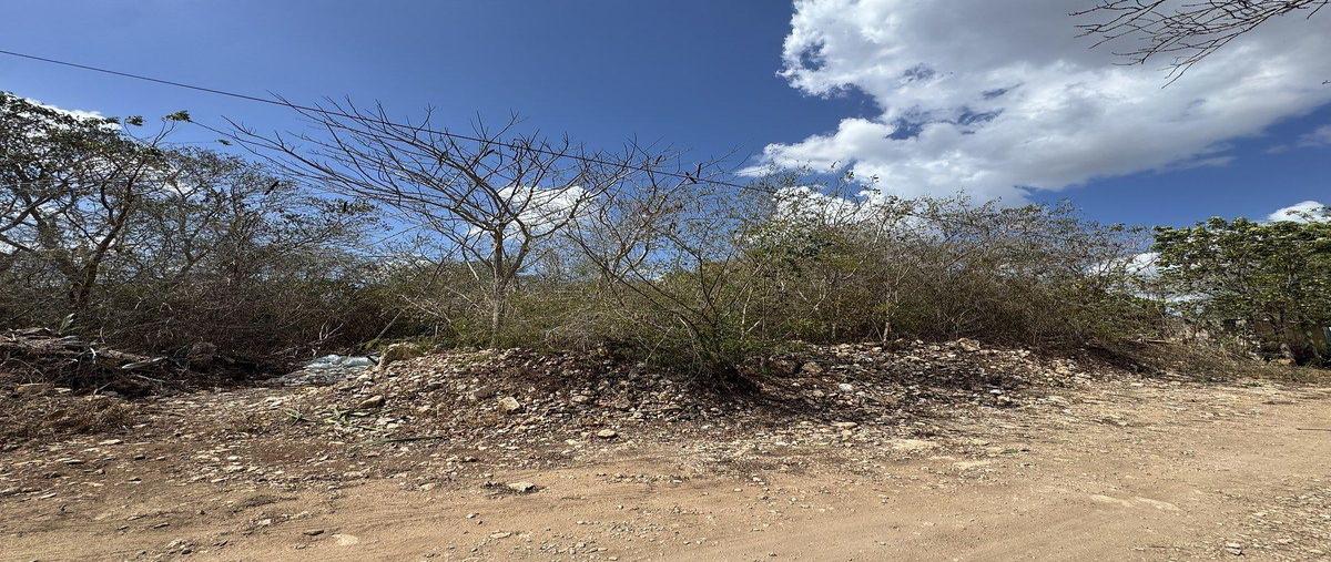 Foto de terreno habitacional en venta en  , cholul, mérida, yucatán, 0 No. 05