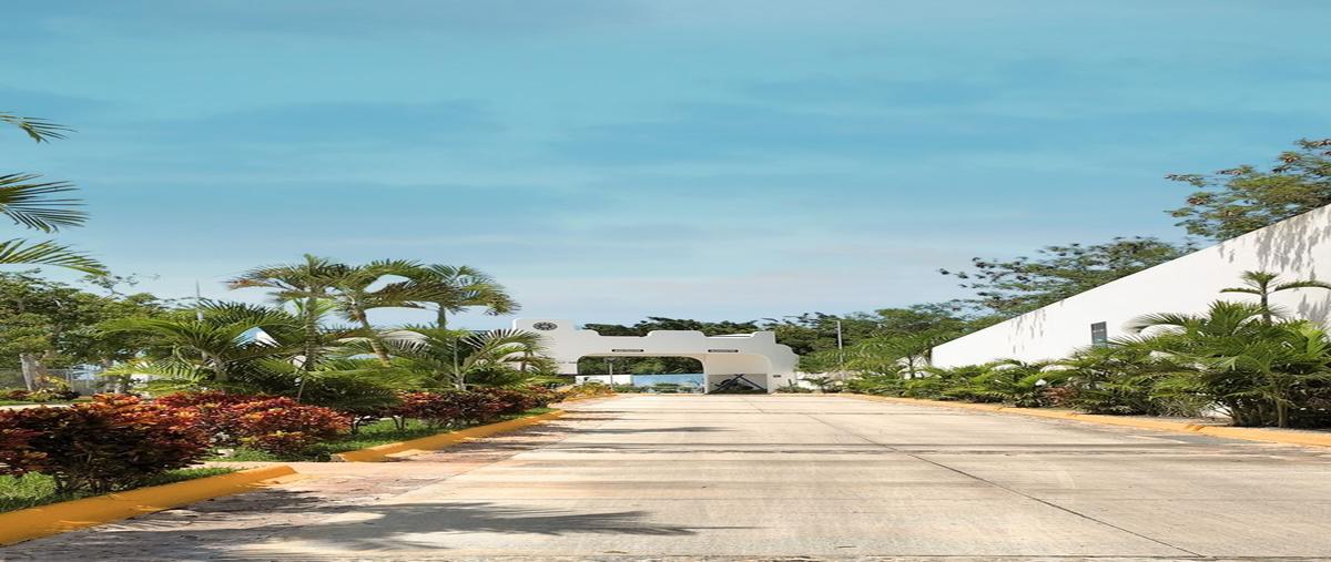 Foto de terreno habitacional en venta en  , cholul, mérida, yucatán, 0 No. 03