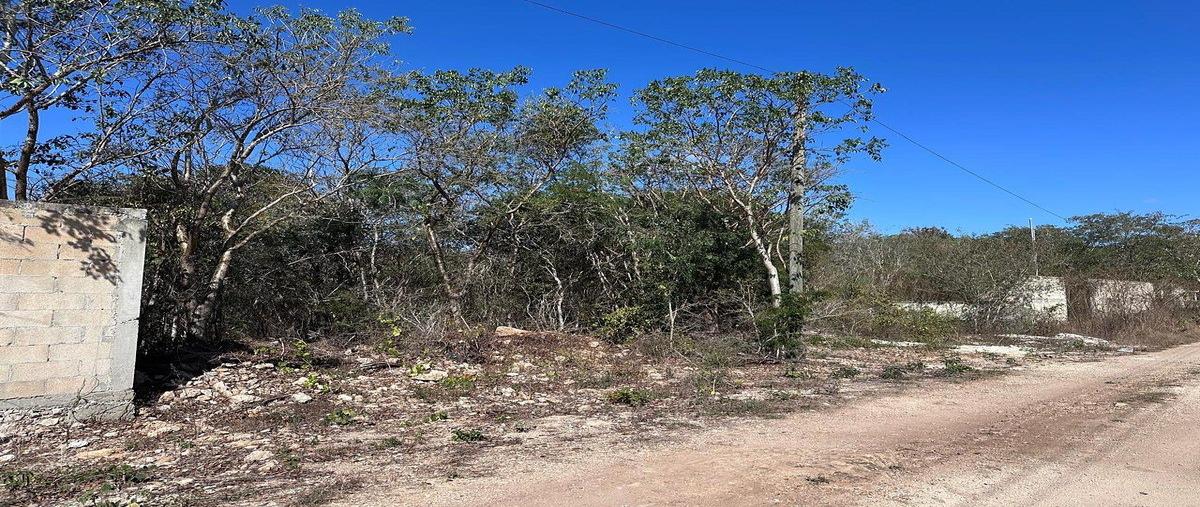 Foto de terreno habitacional en venta en  , cholul, mérida, yucatán, 0 No. 03