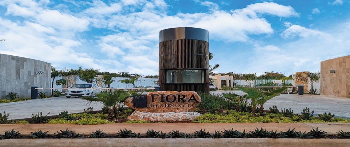 Foto de terreno habitacional en venta en  , cholul, mérida, yucatán, 0 No. 06