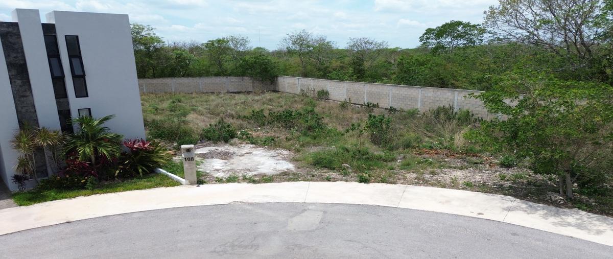 Foto de terreno habitacional en venta en  , cholul, mérida, yucatán, 0 No. 03