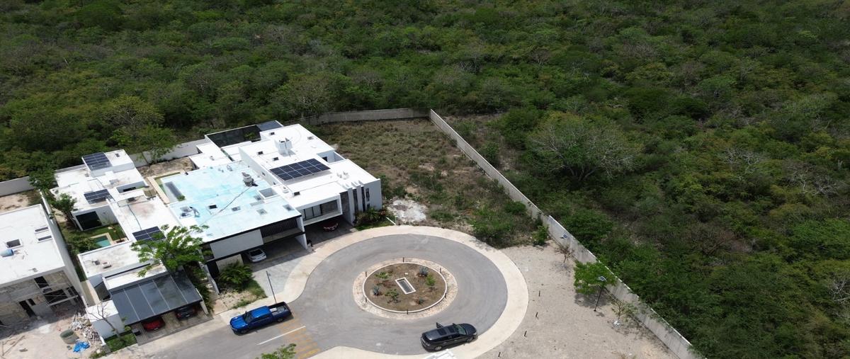Foto de terreno habitacional en venta en  , cholul, mérida, yucatán, 0 No. 04