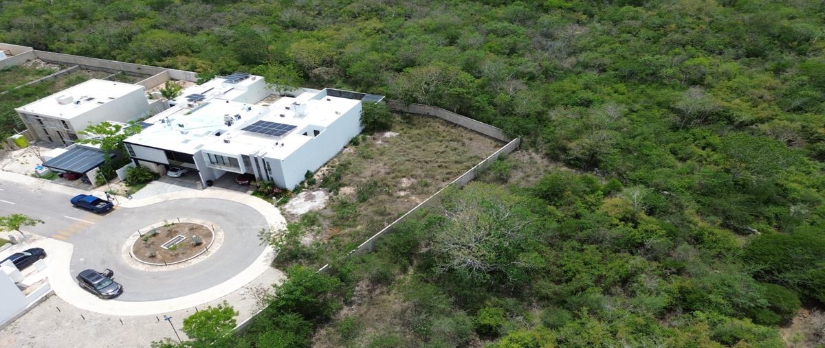 Foto de terreno habitacional en venta en  , cholul, mérida, yucatán, 0 No. 05