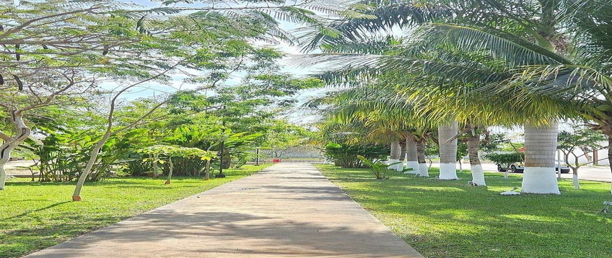 Foto de terreno habitacional en venta en  , cholul, mérida, yucatán, 0 No. 05