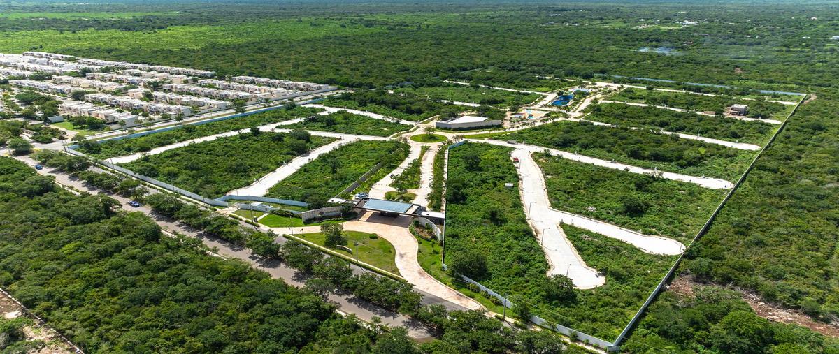 Foto de terreno habitacional en venta en  , cholul, mérida, yucatán, 0 No. 05