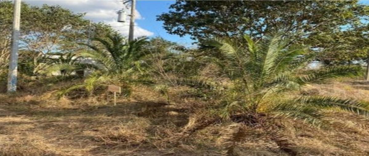 Foto de terreno habitacional en venta en  , cholul, mérida, yucatán, 0 No. 05