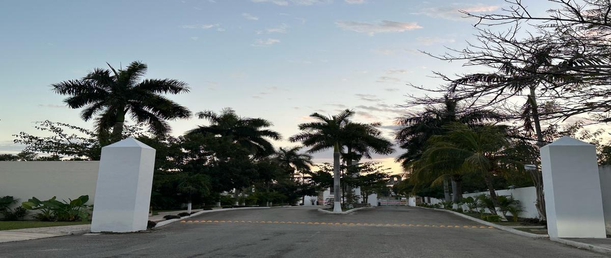 Foto de terreno habitacional en venta en  , cholul, mérida, yucatán, 0 No. 04